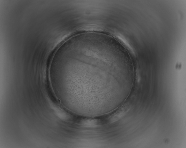 X0000094450202200711211526