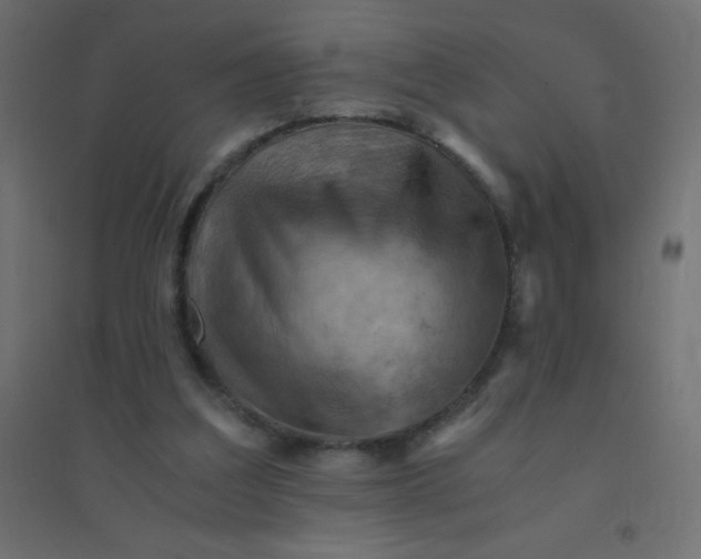 X0000094450203200711211526