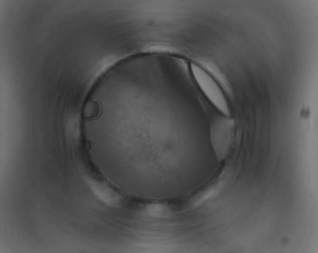 X0000094450204200711211526