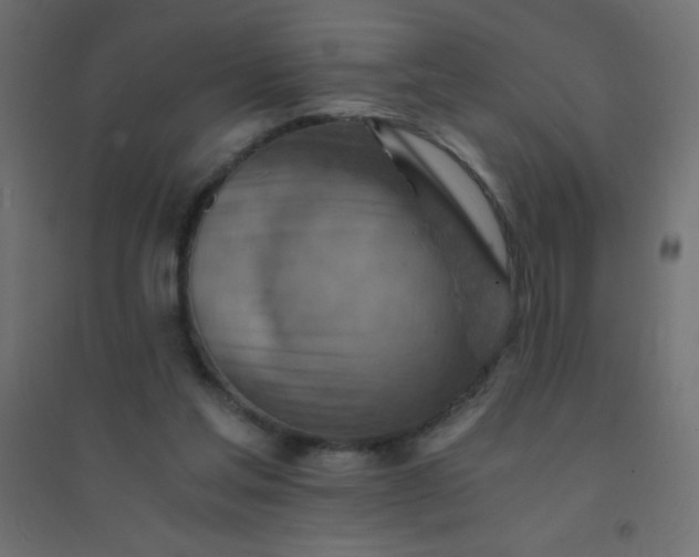 X0000094450205200711211526