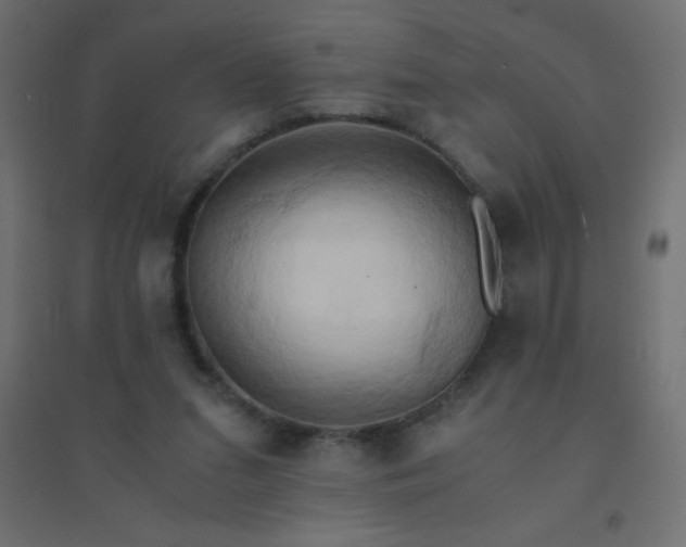 X0000094450207200711211526