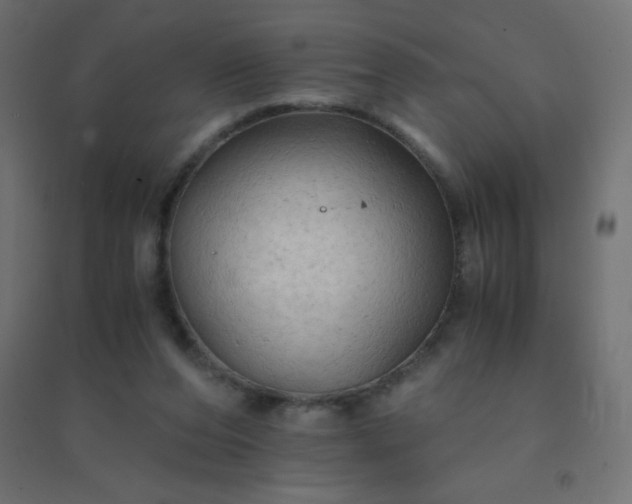 X0000094450208200711211526