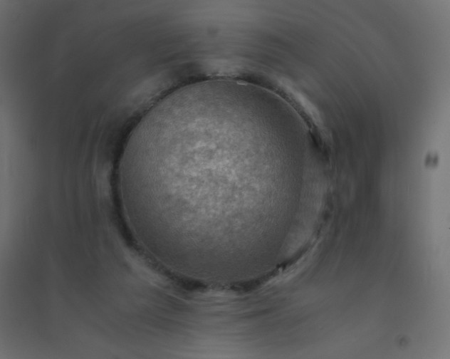 X0000094450209200711211526