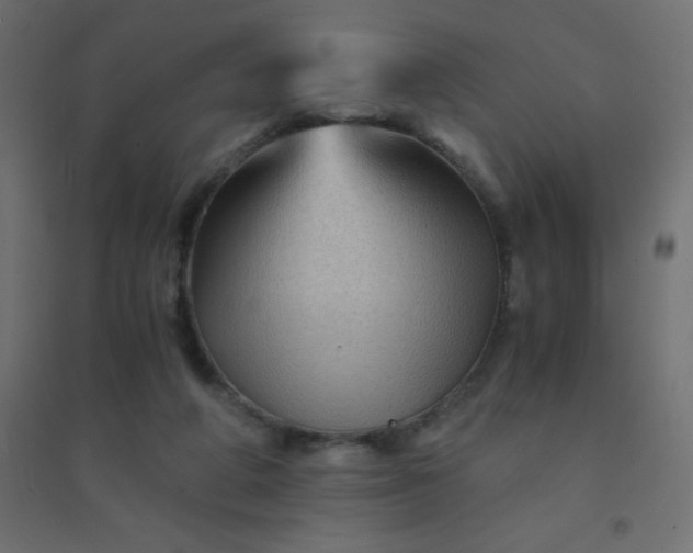 X0000094450210200711211526