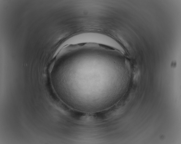 X0000094450211200711211526