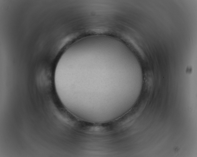 X0000094450212200711211525