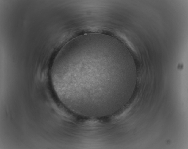 X0000094450213200711211525