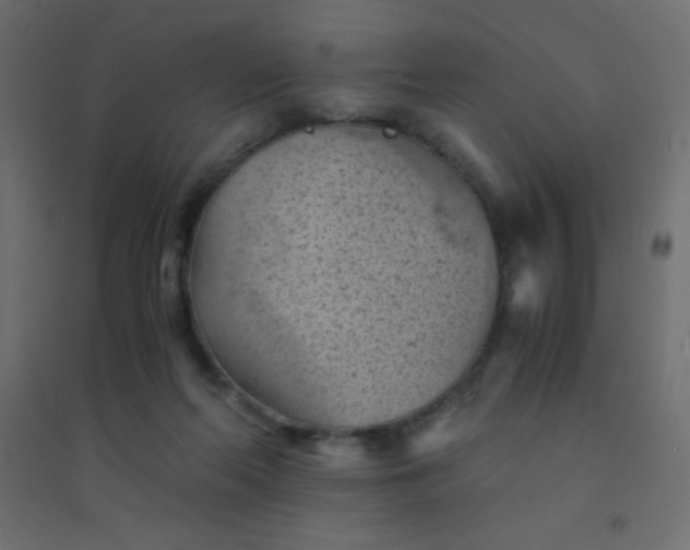 X0000094450214200711211525