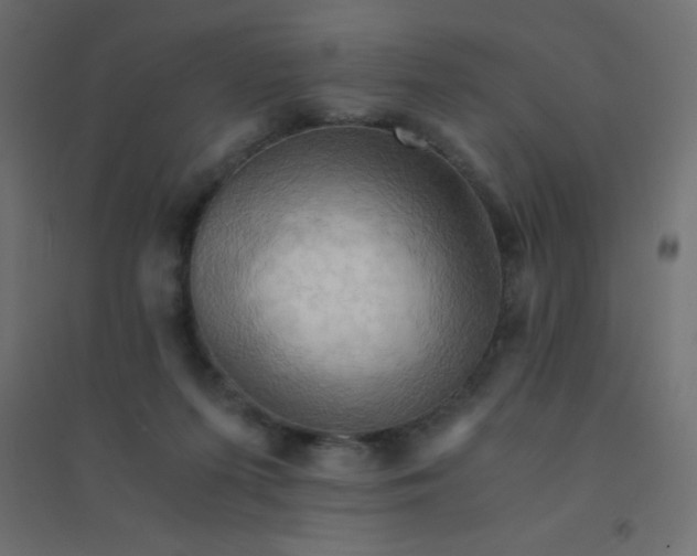 X0000094450215200711211525