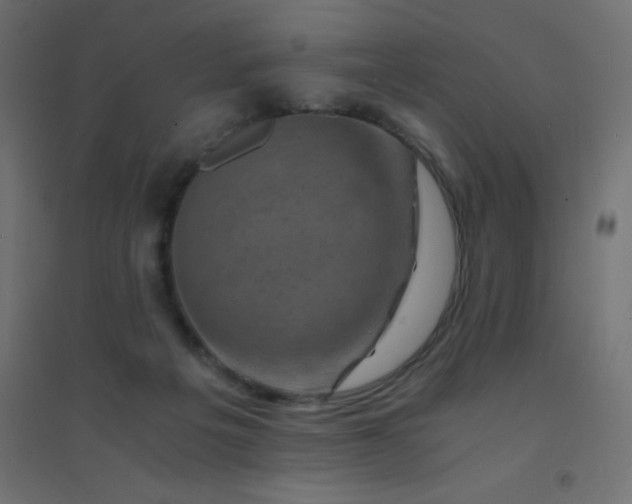 X0000094450217200711211525