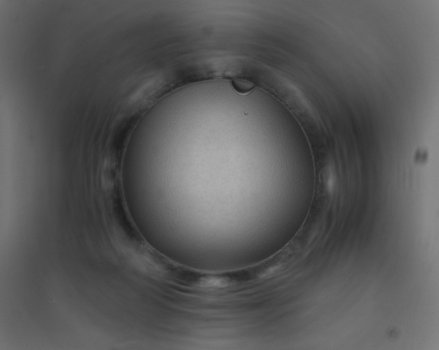 X0000094450218200711211525