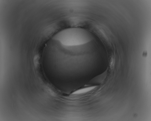 X0000094450219200711211525