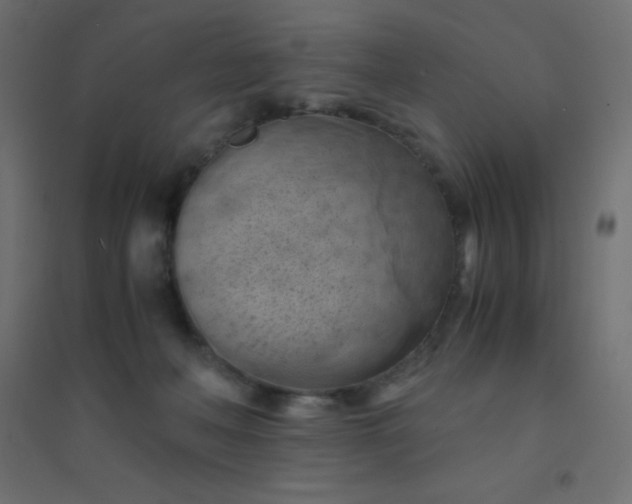 X0000094450222200711211525