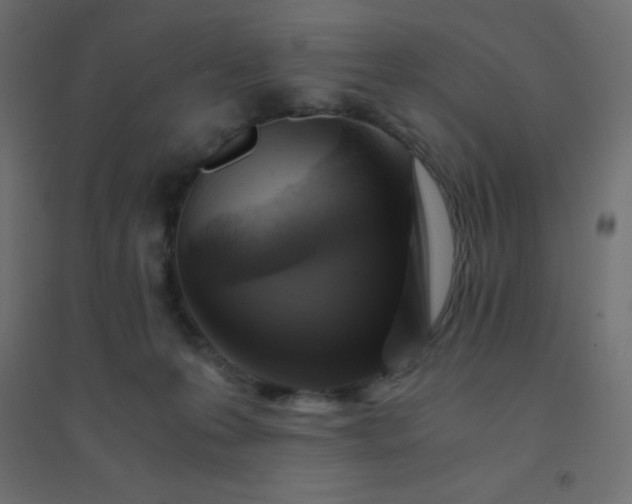 X0000094450223200711211525