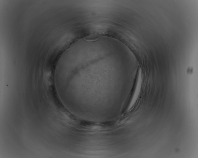 X0000094450224200711211525