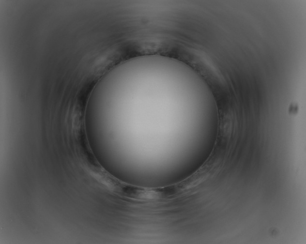 X0000094450226200711211525