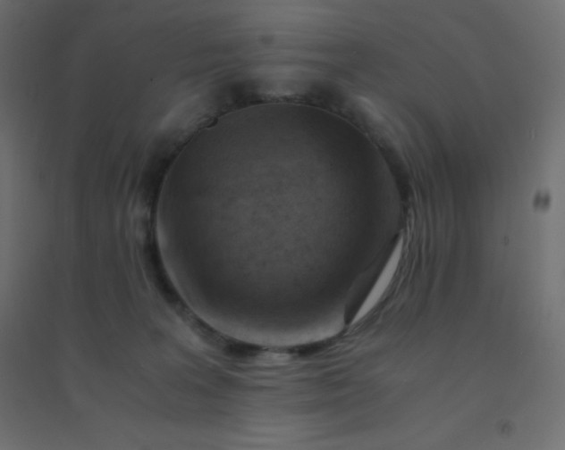 X0000094450227200711211525