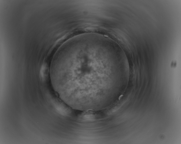 X0000094450228200711211525