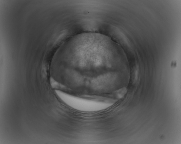 X0000094450229200711211525