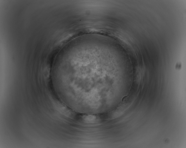 X0000094450230200711211525