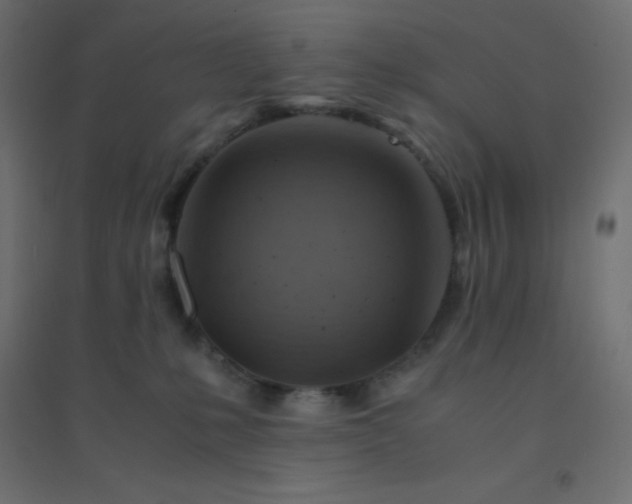 X0000094450231200711211525