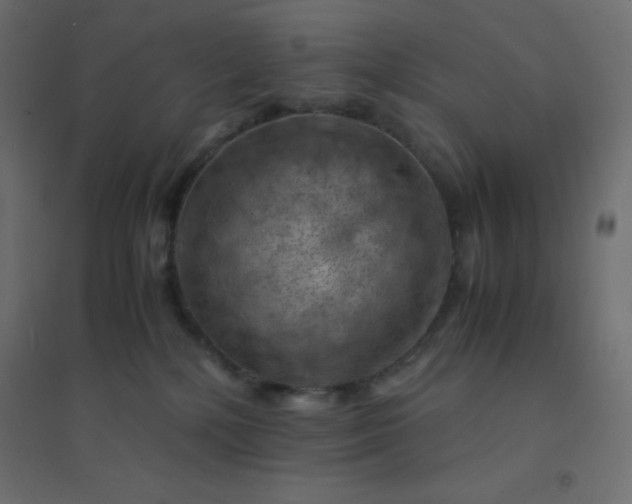 X0000094450232200711211525