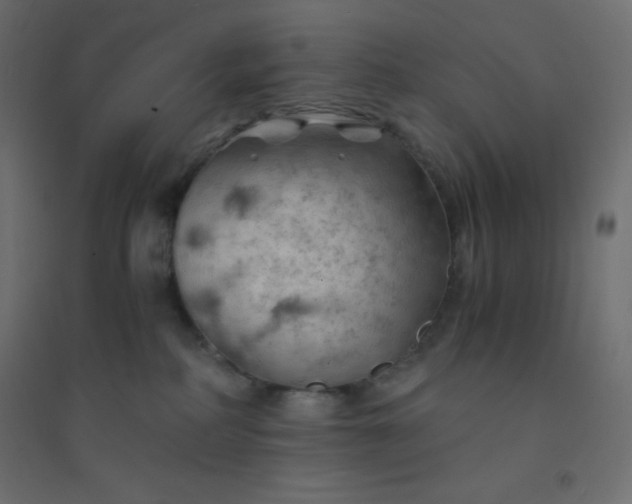 X0000094450234200711211525