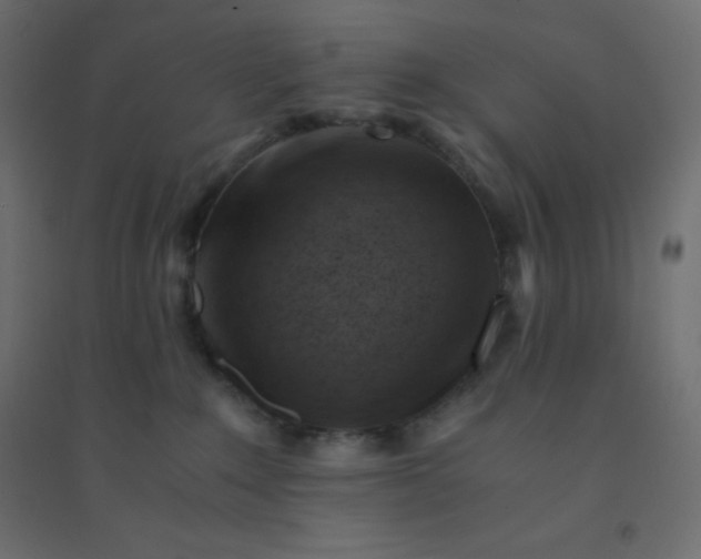 X0000094450235200711211525