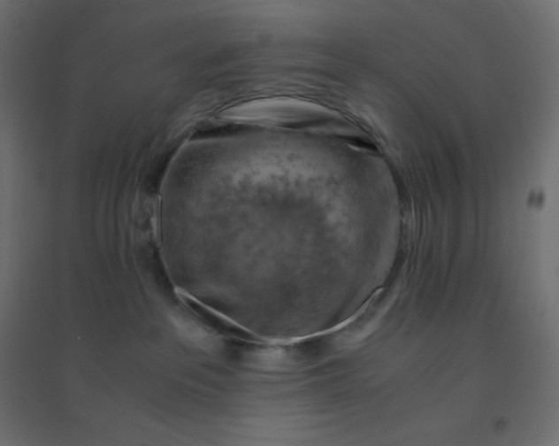 X0000094450237200711211525