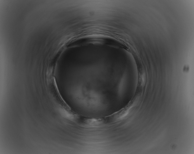 X0000094450239200711211525