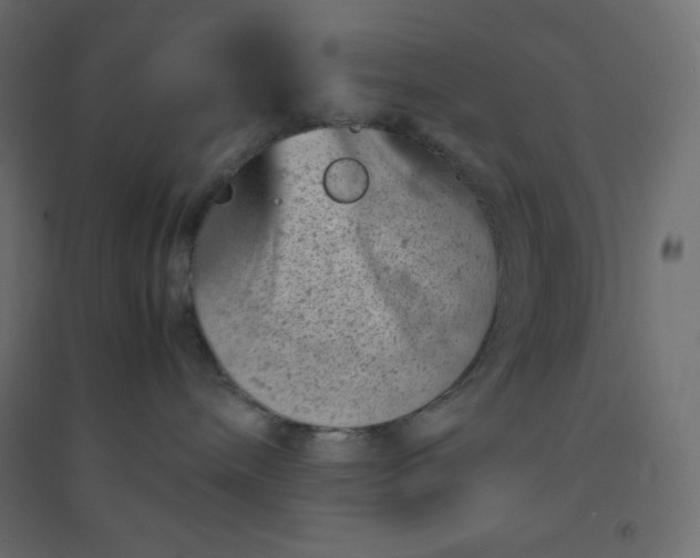 X0000094450240200711211525