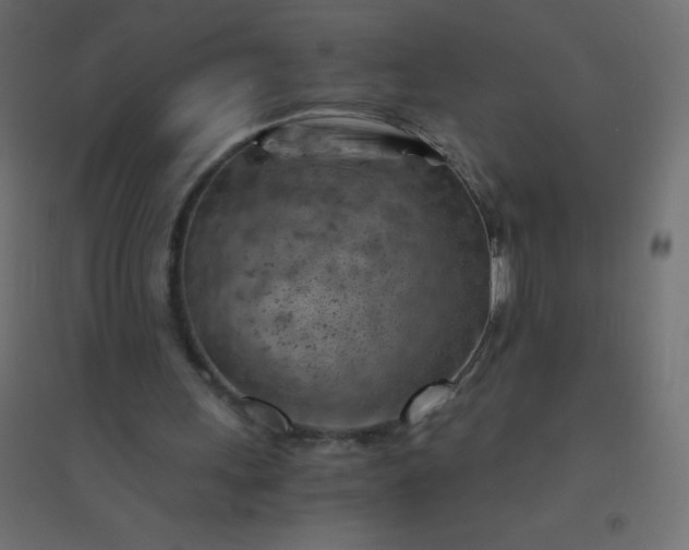 X0000094450243200711211524