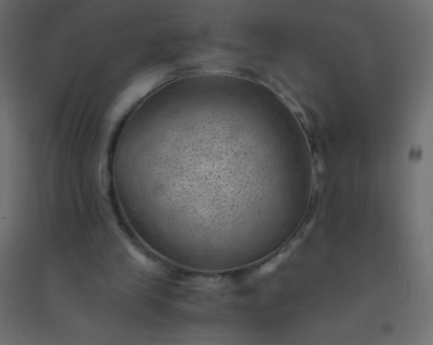 X0000094450245200711211525