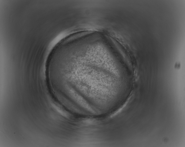 X0000094450246200711211525