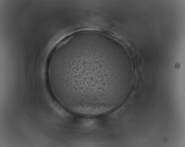 X0000094450247200711211525