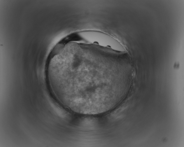 X0000094450248200711211525