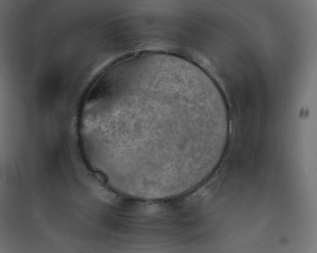 X0000094450249200711211525