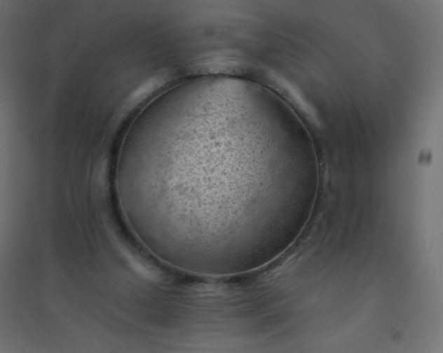 X0000094450250200711211525