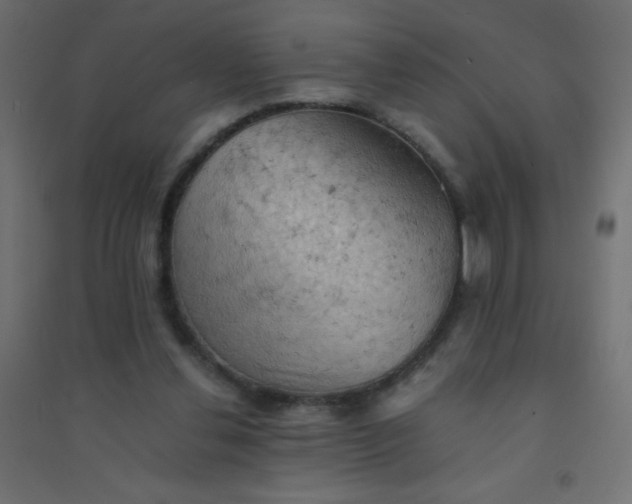 X0000094450252200711211525