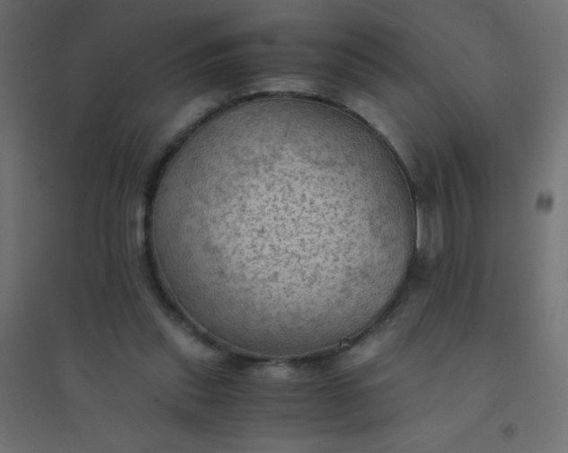 X0000094450253200711211525