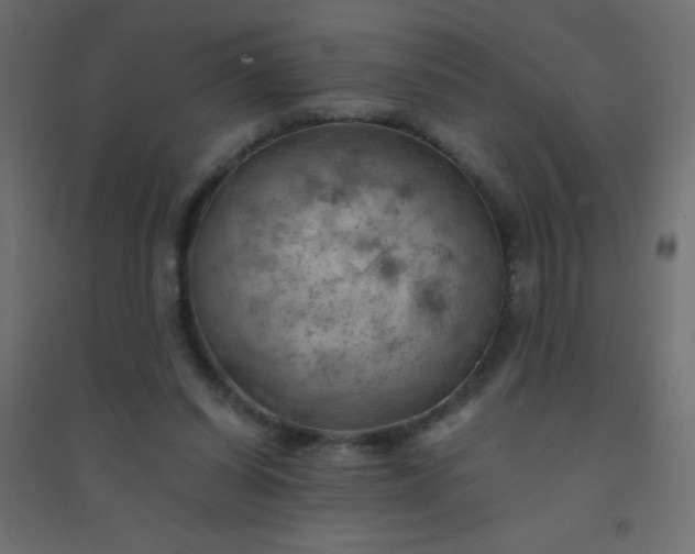 X0000094450254200711211525