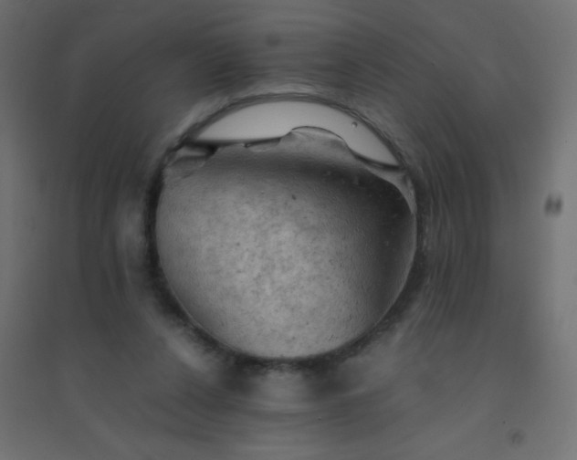 X0000094450256200711211525