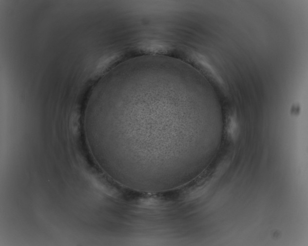 X0000094450259200711211525