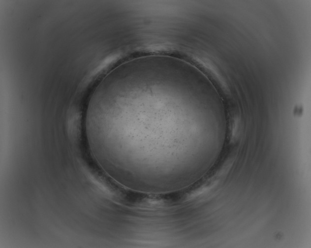 X0000094450260200711211525