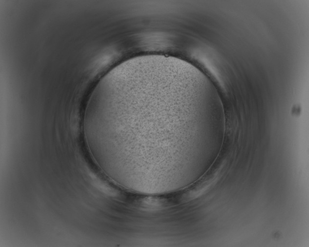 X0000094450261200711211525