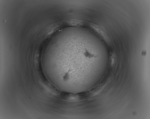 X0000094450263200711211525