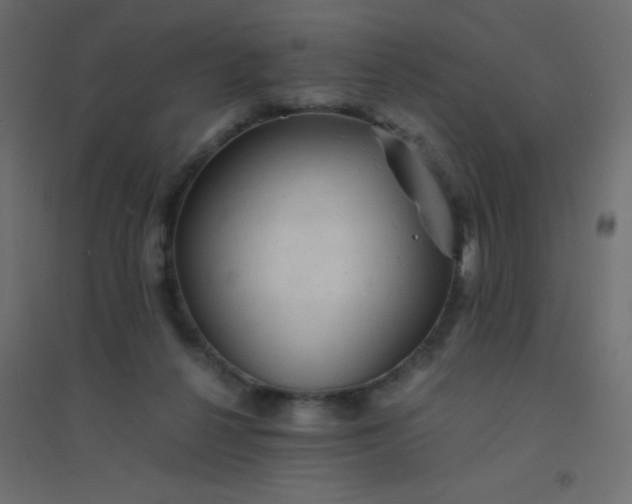 X0000094450264200711211525