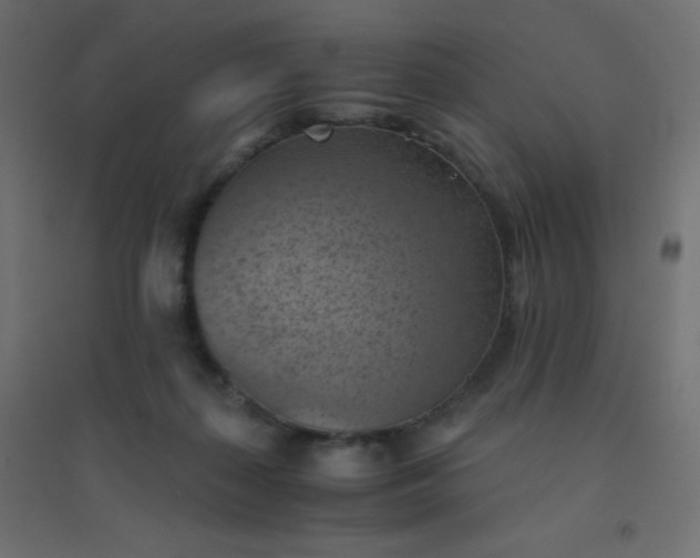 X0000094450267200711211525