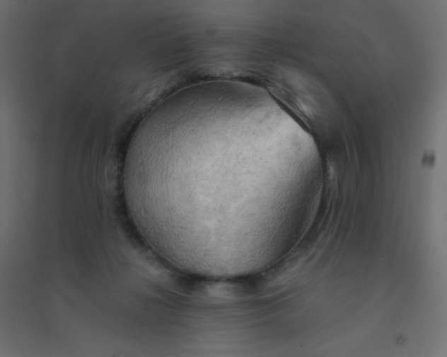 X0000094450268200711211525