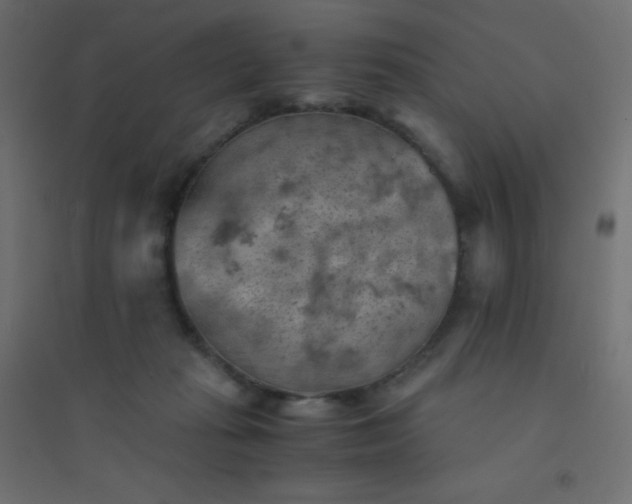 X0000094450269200711211525